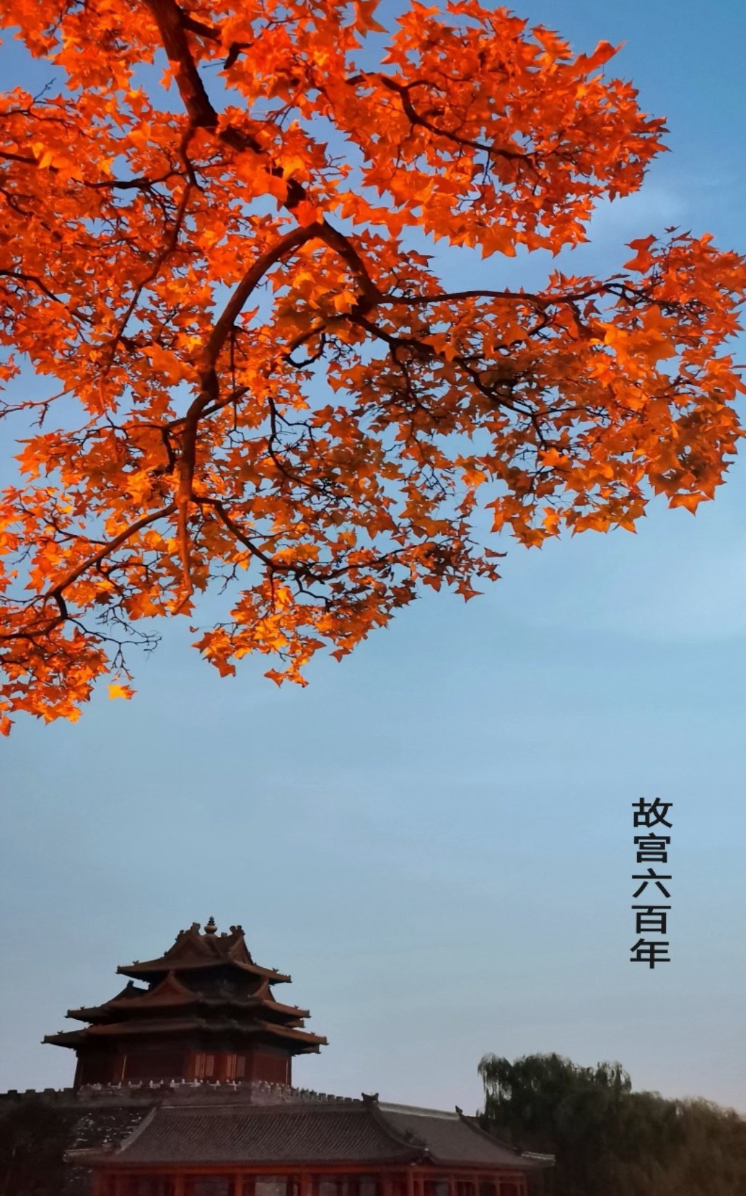 C:\Users\lenovo\Desktop\攝影展\2021\各位老師照片\楊澄宇\楊澄宇 故宮六百年.jpg