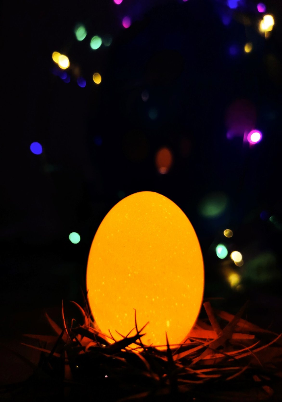 C:\Users\lenovo\Desktop\攝影展\2021\各位老師照片\李婷婷\李婷婷 2021.2.10 EGG.jpg